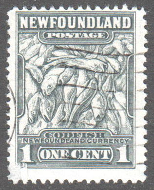 Newfoundland Scott 253 Used F - Click Image to Close